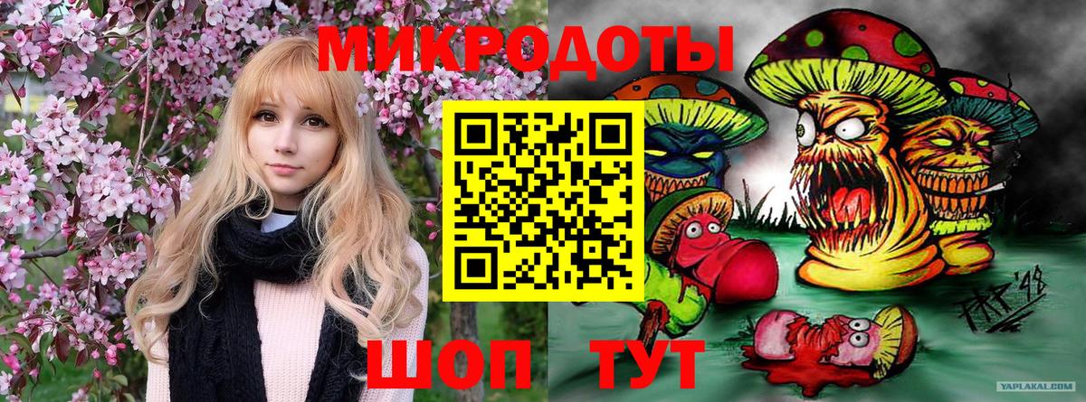 Псилоцибиновые грибы Psilocybe  Вход с VPN  Грязи 
