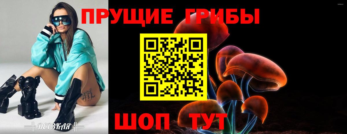 Галлюциногенные грибы Psilocybe Грязи